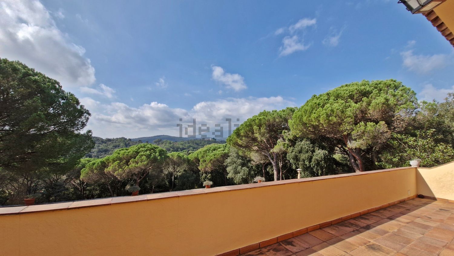 Finca rústica en venta en Llevant (26).jpg