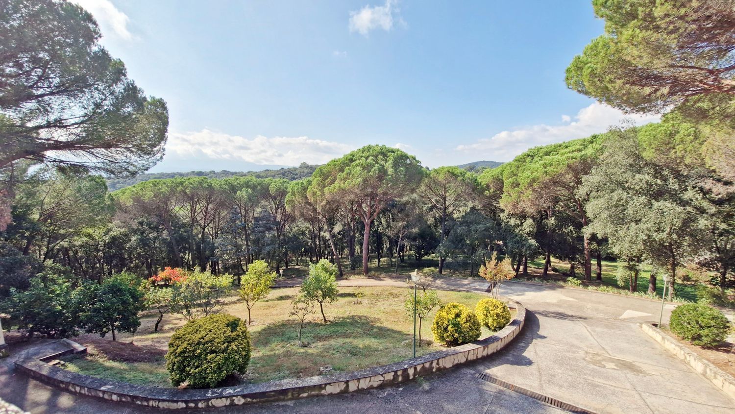Finca rústica en venta en Llevant (5).jpg