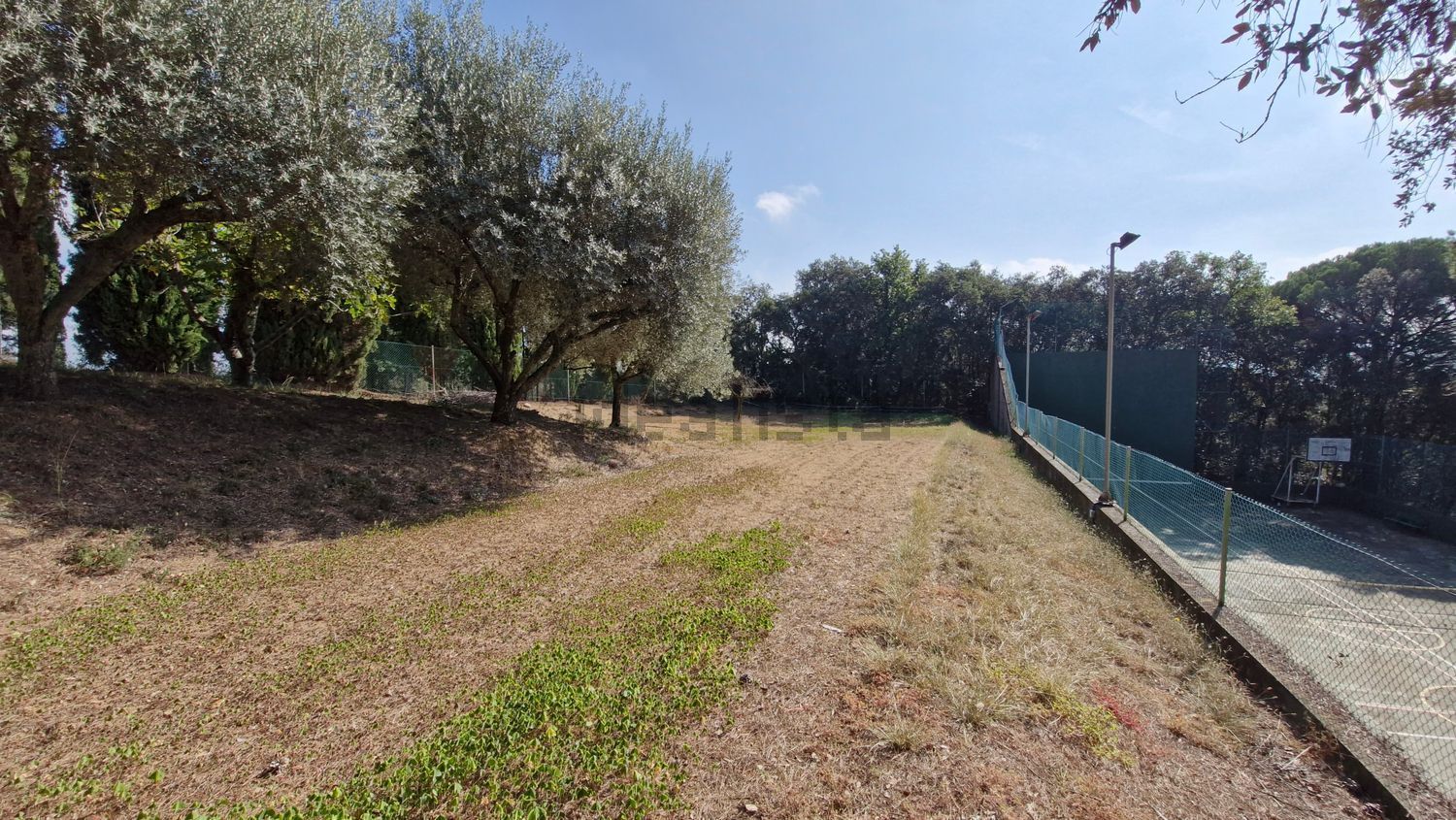 Finca rústica en venta en Llevant (56).jpg