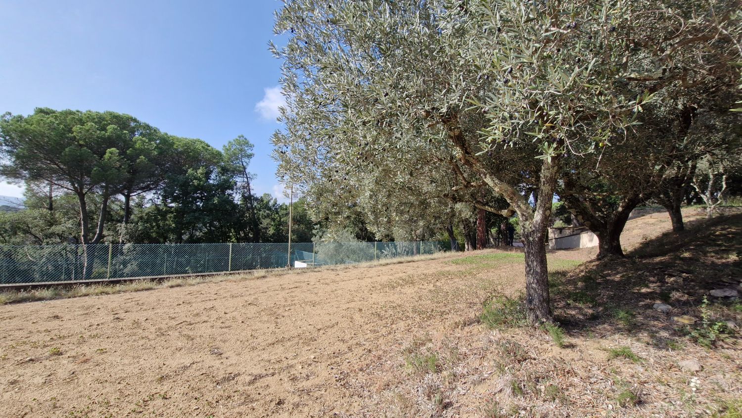 Finca rústica en venta en Llevant (57).jpg