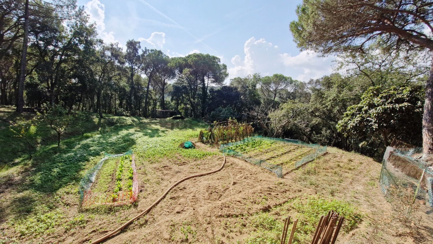 Finca rústica en venta en Llevant (65).jpg
