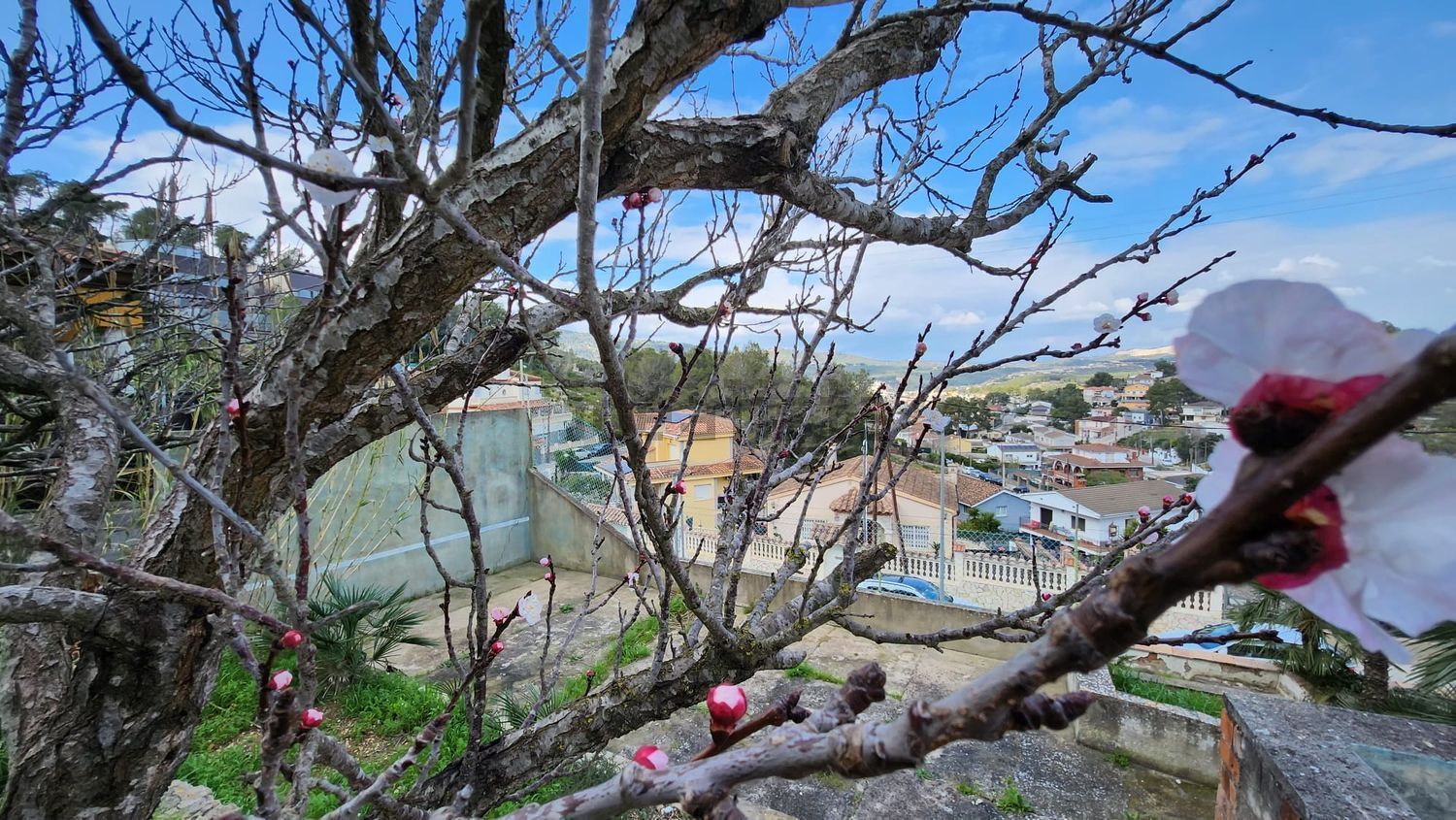 Casa o chalet independiente en venta en Ronda Gaudi (34).jpg